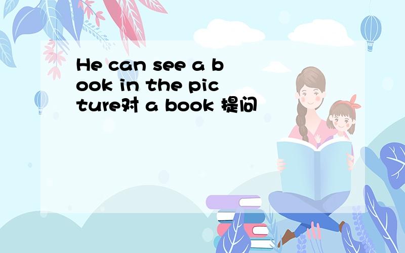 He can see a book in the picture对 a book 提问