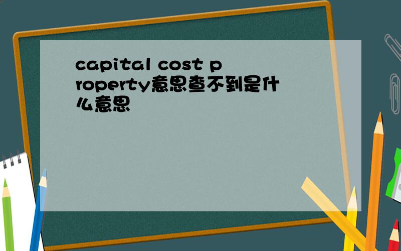 capital cost property意思查不到是什么意思
