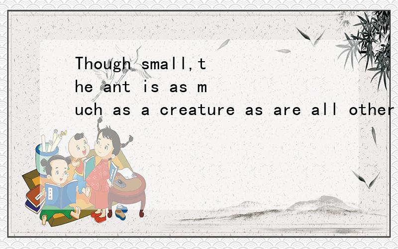 Though small,the ant is as much as a creature as are all other animals on e为什么用as much as 而不用as great as 或其他词来修饰呢?