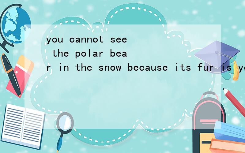 you cannot see the polar bear in the snow because its fur is yellow white 中文