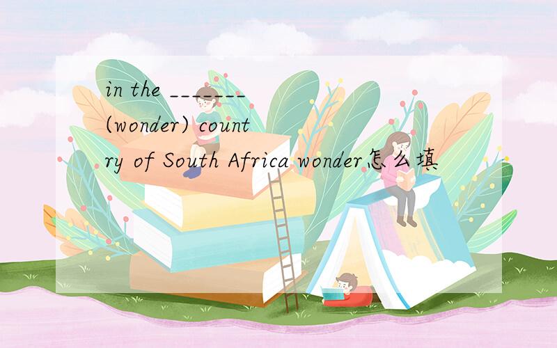 in the _______(wonder) country of South Africa wonder怎么填