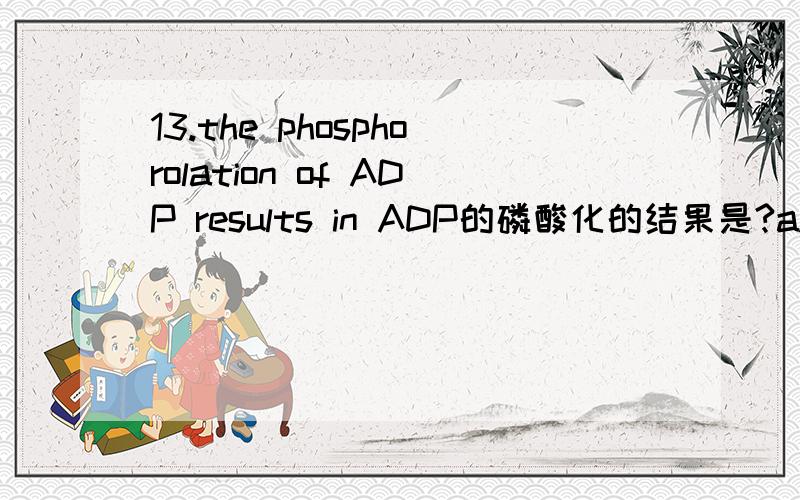 13.the phosphorolation of ADP results in ADP的磷酸化的结果是?a.ATPb.ATP synthasec.NADHd.AMPe.Water