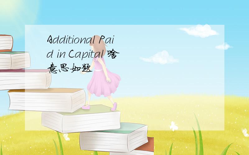 Additional Paid in Capital 啥意思如题
