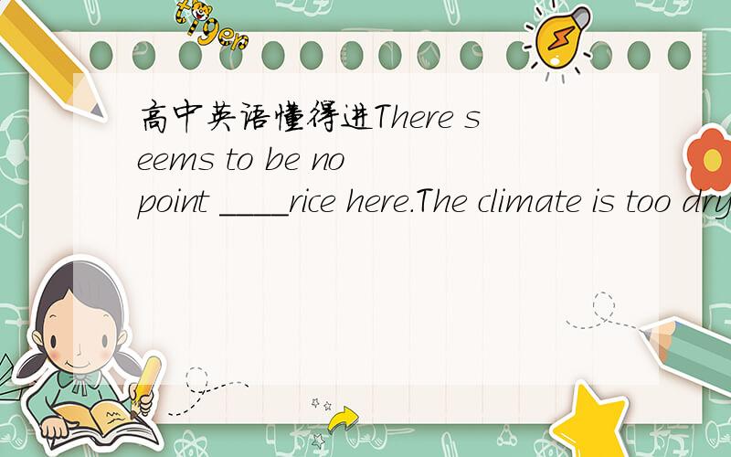 高中英语懂得进There seems to be no point ____rice here.The climate is too dry.A.in planting B to plant C plant D planted