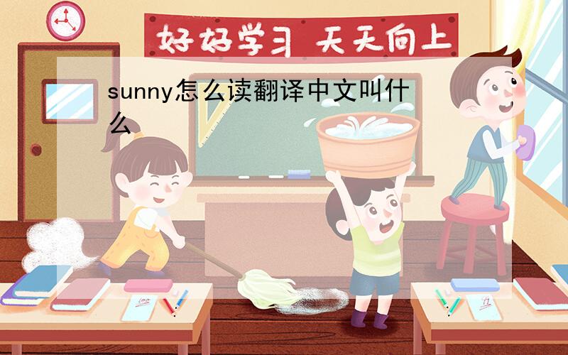 sunny怎么读翻译中文叫什么