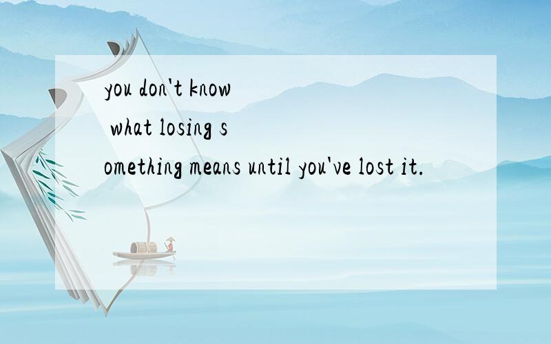 you don't know what losing something means until you've lost it.