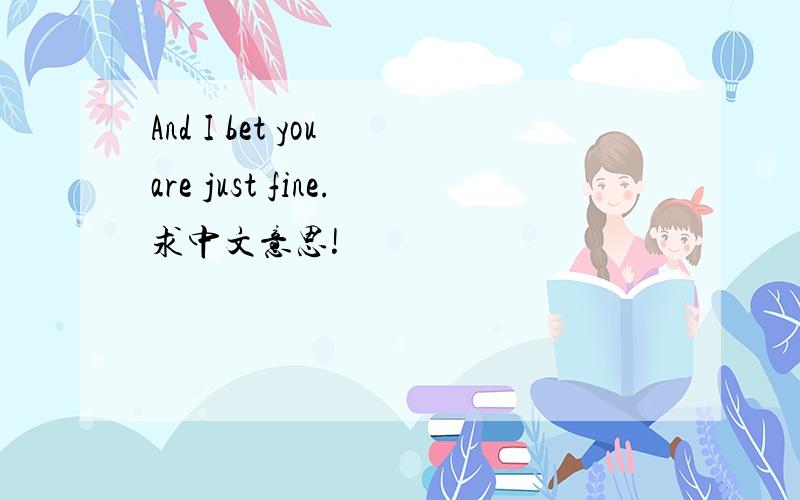 And I bet you are just fine.求中文意思!