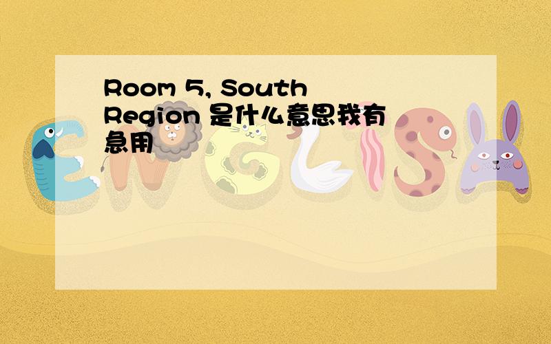 Room 5, South Region 是什么意思我有急用