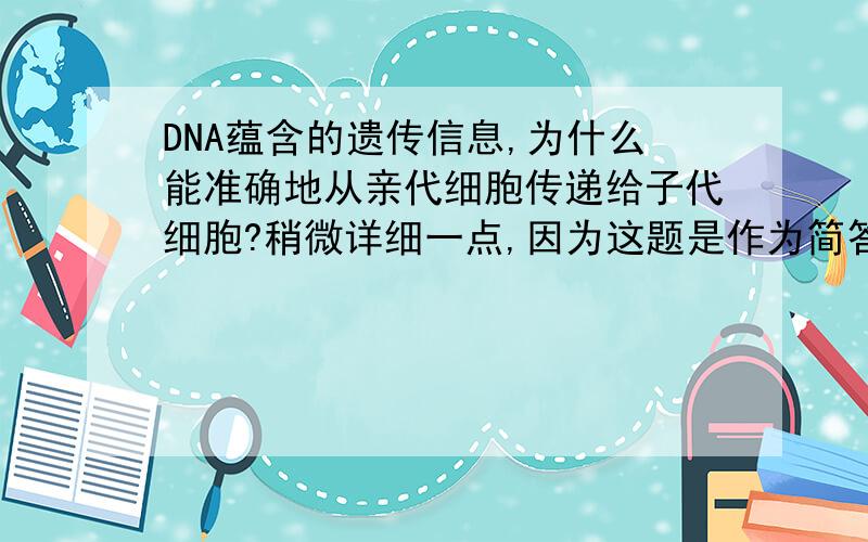 DNA蕴含的遗传信息,为什么能准确地从亲代细胞传递给子代细胞?稍微详细一点,因为这题是作为简答题的