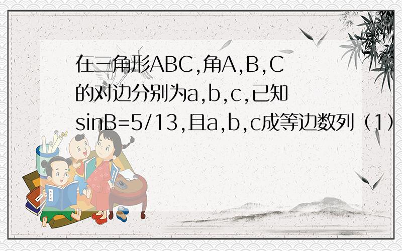 在三角形ABC,角A,B,C的对边分别为a,b,c,已知sinB=5/13,且a,b,c成等边数列（1）求1/tanA+1/tanC的值(2)若accosB=12,求a+c的值