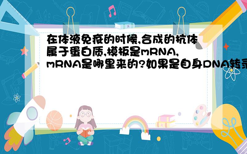 在体液免疫的时候,合成的抗体属于蛋白质,模板是mRNA,mRNA是哪里来的?如果是自身DNA转录来的,那么,病毒在发生变异之后,人体还能合成出抗体,是不是说人体内的DNA也发生了突变?还是另有原因,