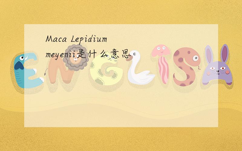 Maca Lepidium meyenii是什么意思