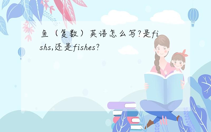 鱼（复数）英语怎么写?是fishs,还是fishes?