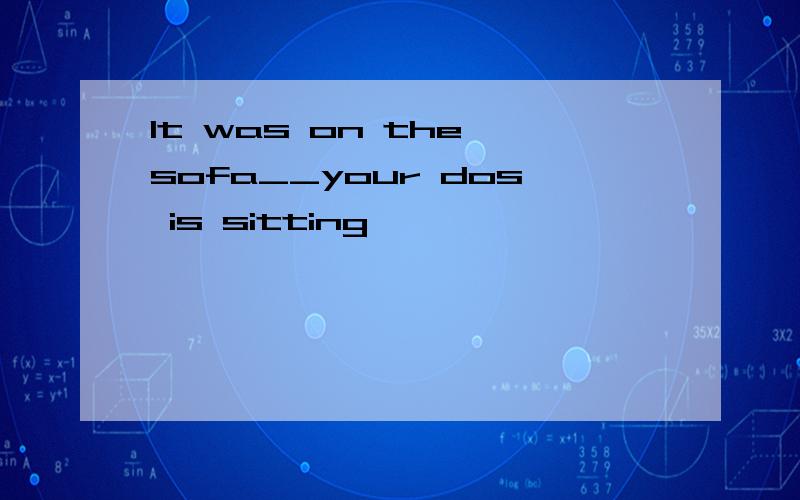 It was on the sofa__your dos is sitting