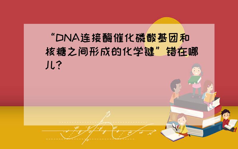 “DNA连接酶催化磷酸基团和核糖之间形成的化学键”错在哪儿?