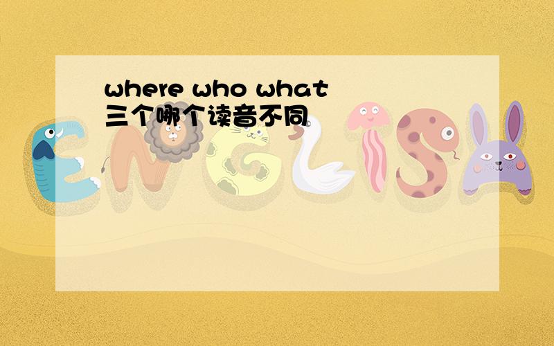 where who what三个哪个读音不同