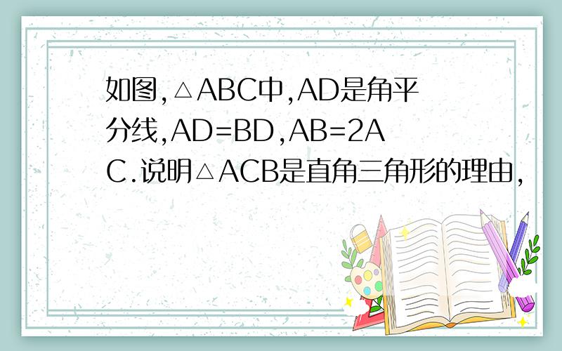 如图,△ABC中,AD是角平分线,AD=BD,AB=2AC.说明△ACB是直角三角形的理由,