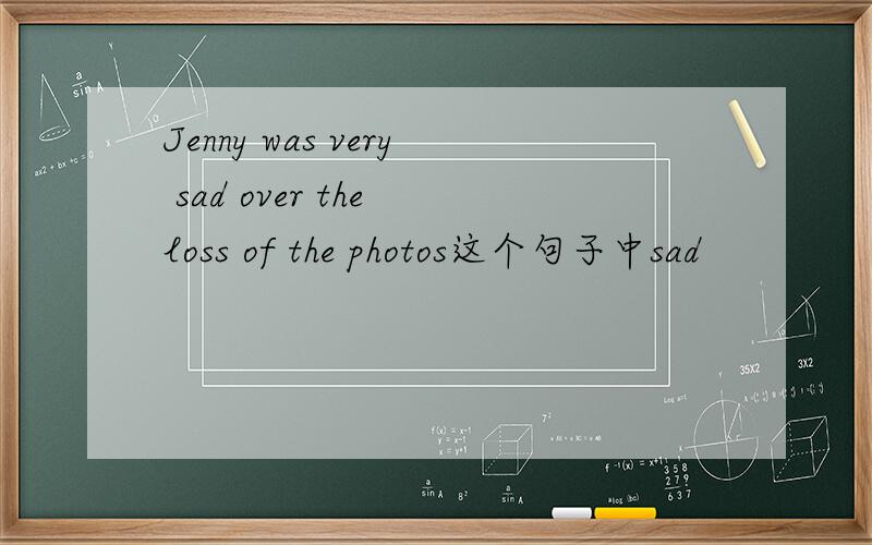 Jenny was very sad over the loss of the photos这个句子中sad