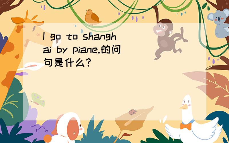 I go to shanghai by piane.的问句是什么?
