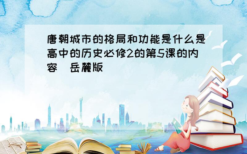 唐朝城市的格局和功能是什么是高中的历史必修2的第5课的内容（岳麓版）